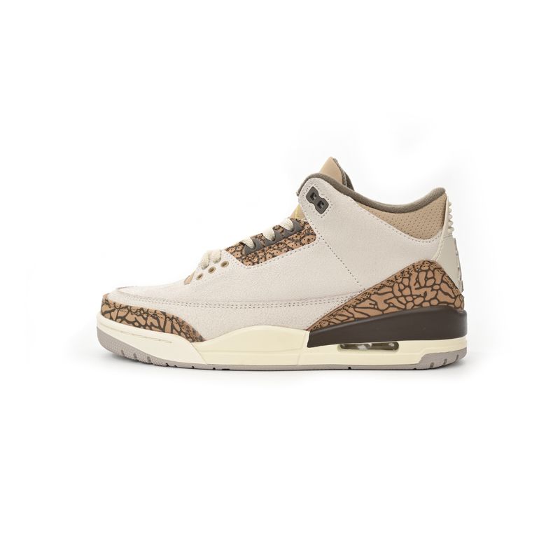Air Jordan 3 —— 096