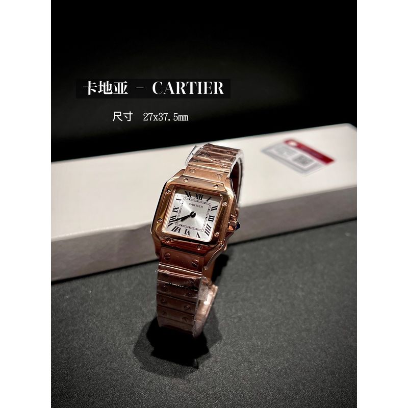 Cartier Panthere