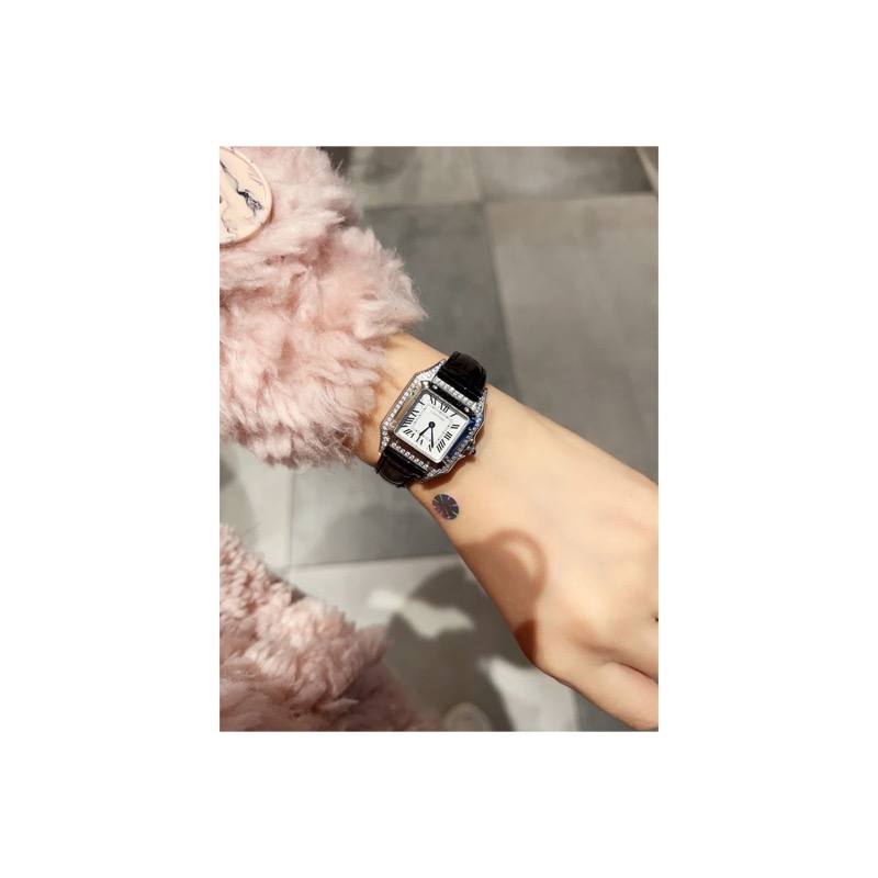 Cartier Panthere