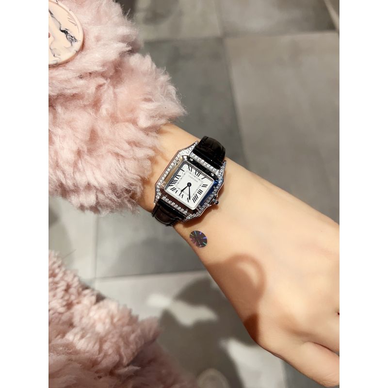 Cartier Panthere