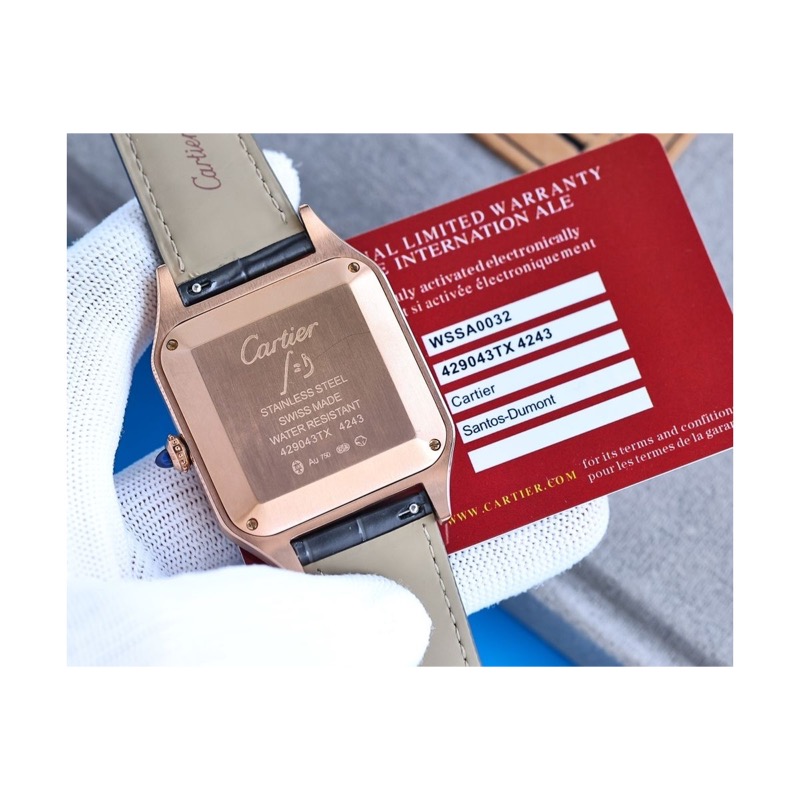 Cartier Watch