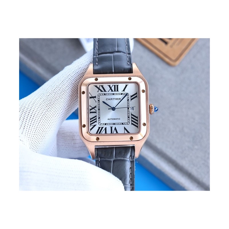 Cartier Watch