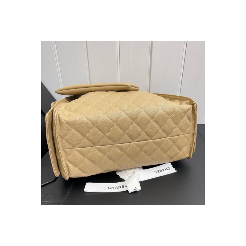 Chanel Chanel 25 Bag
