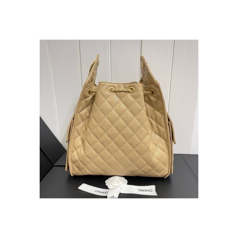 Chanel Chanel 25 Bag