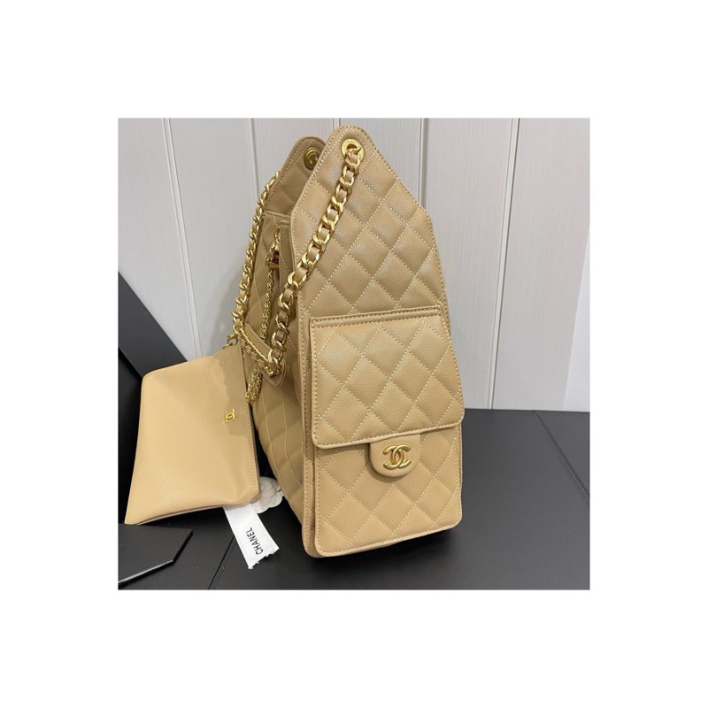 Chanel Chanel 25 Bag