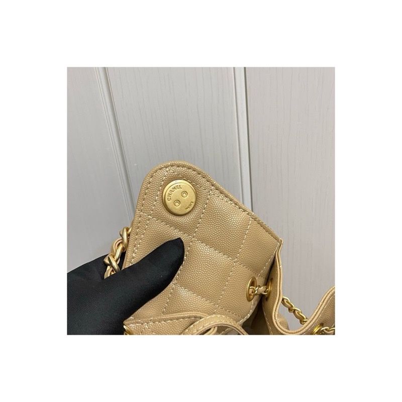 Chanel Chanel 25 Bag