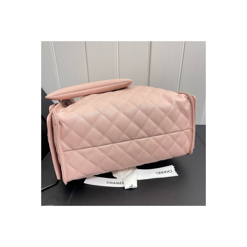 Chanel Chanel 25 Bag