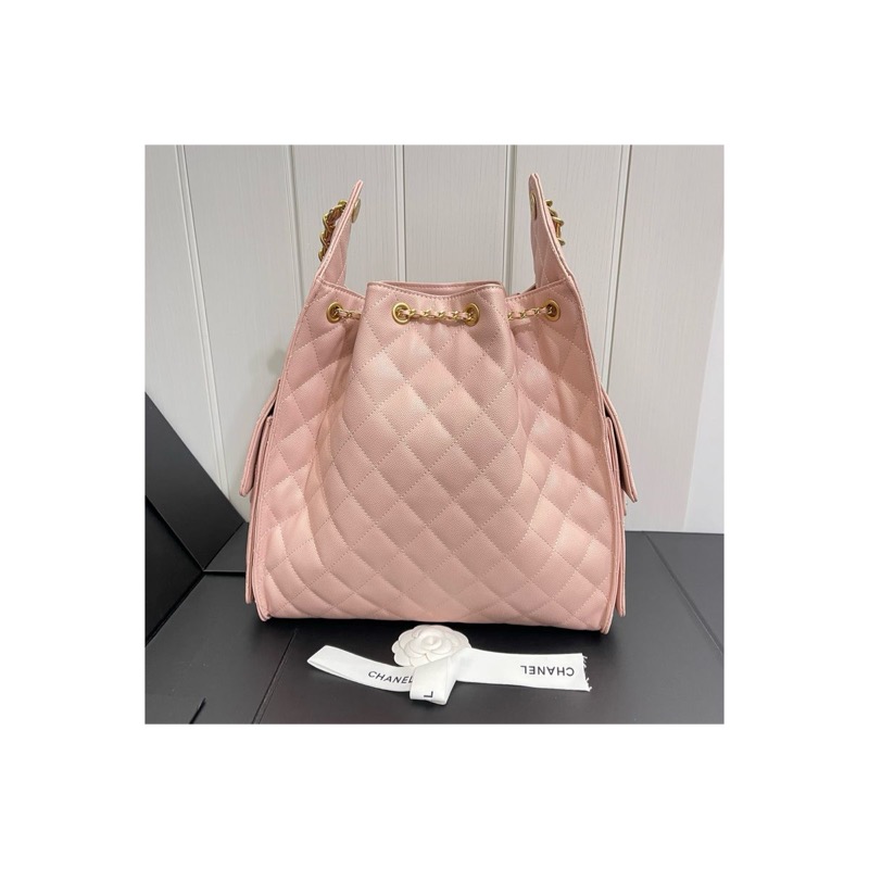 Chanel Chanel 25 Bag