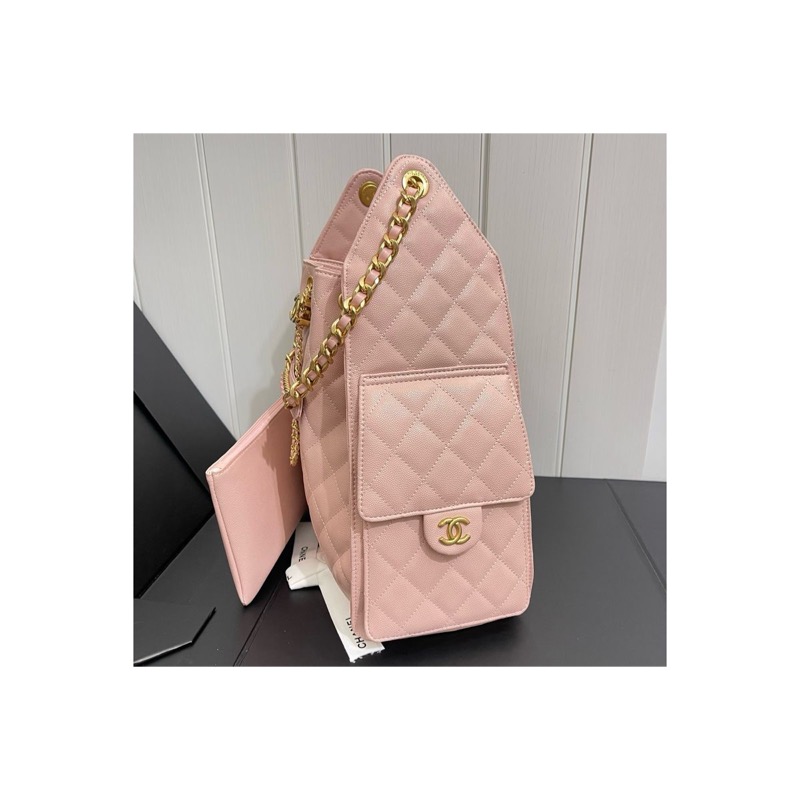 Chanel Chanel 25 Bag