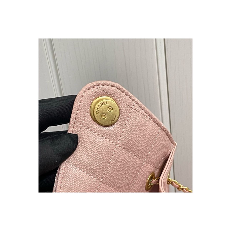 Chanel Chanel 25 Bag