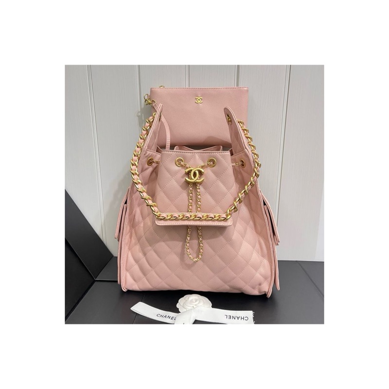 Chanel Chanel 25 Bag