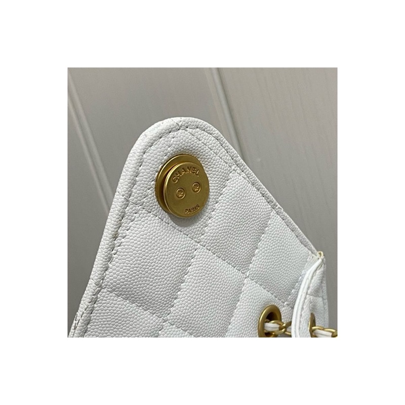 Chanel Chanel 25 Bag