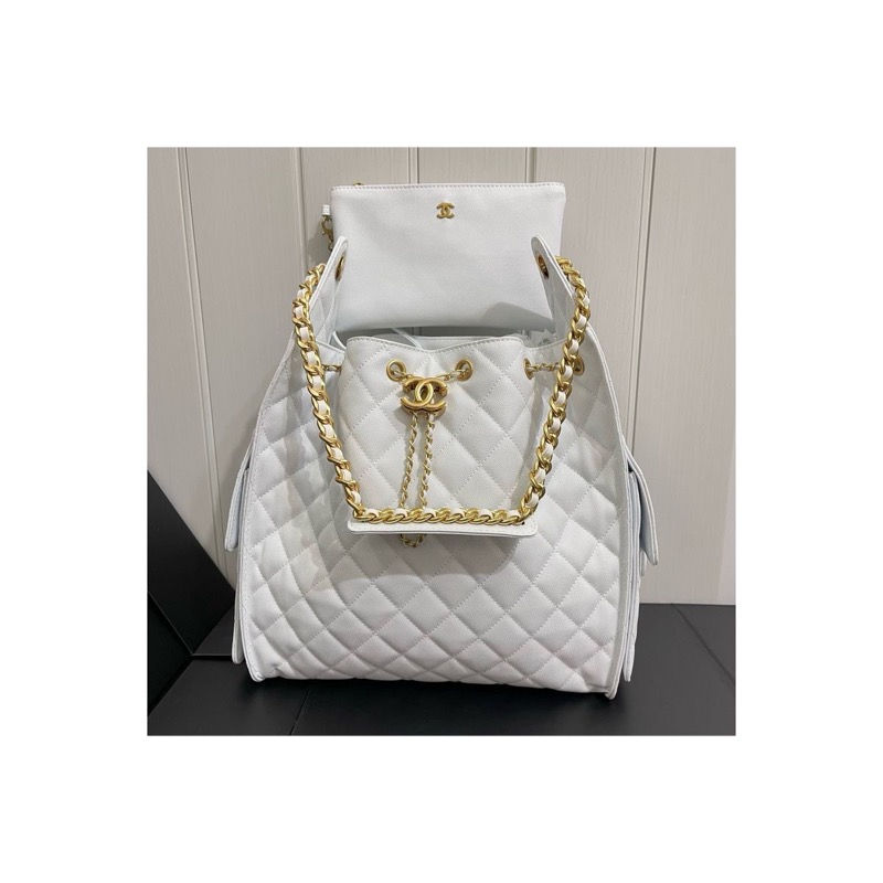 Chanel Chanel 25 Bag