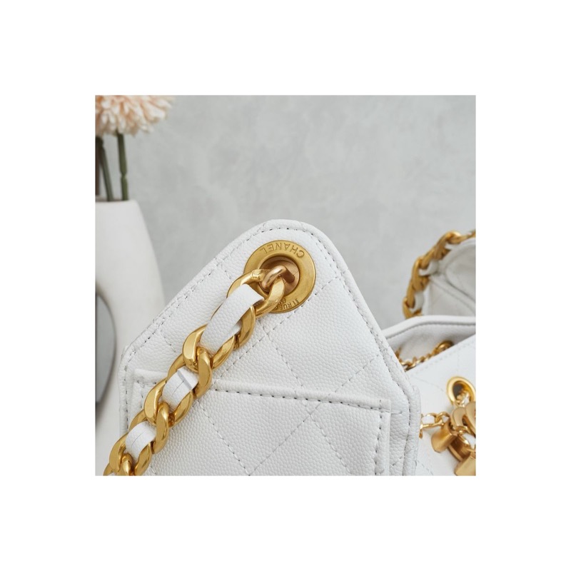 Chanel Chanel 25 Monogram Bag