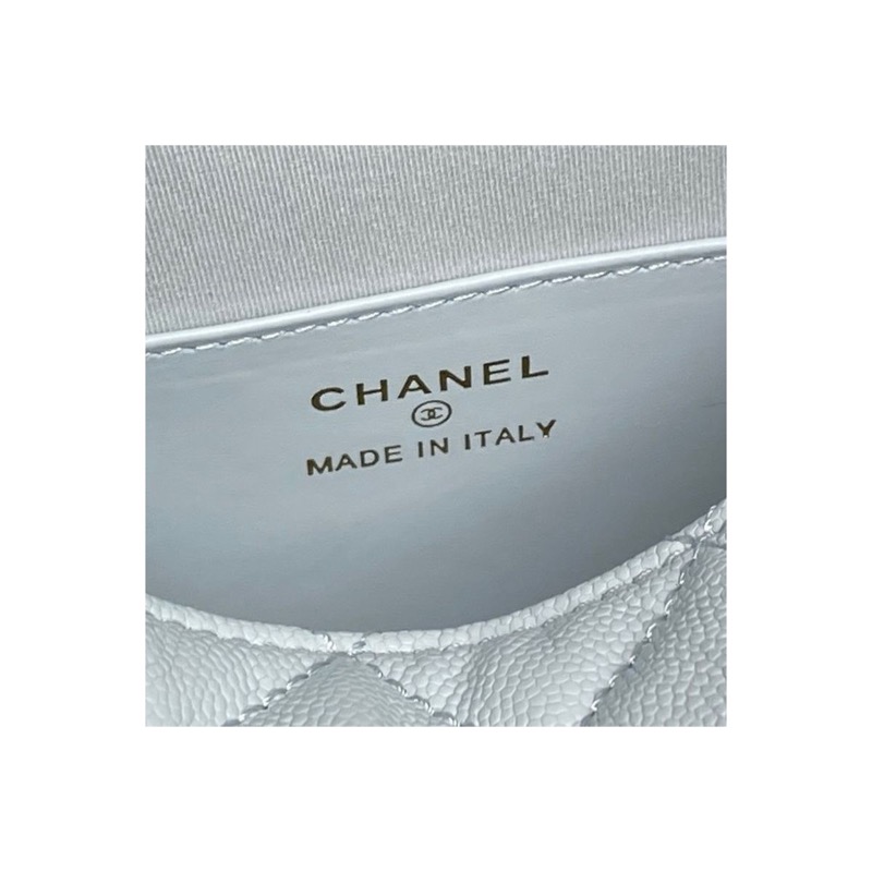 Chanel Chanel 22 Quilted Bag