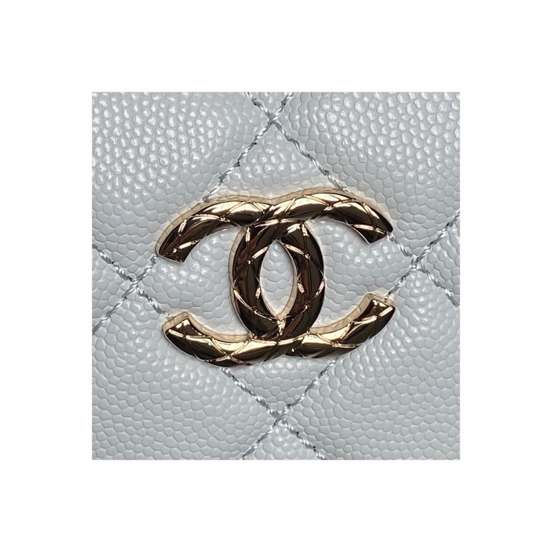 Chanel Chanel 22 Quilted Bag