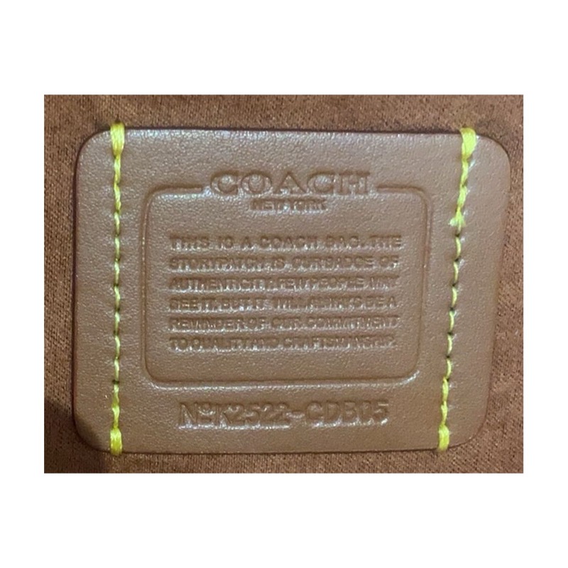 Coach Pillow Bag