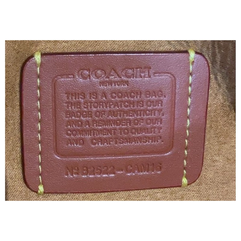 Coach Tabby Bag