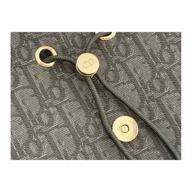 Dior Saddle Oblique Bag