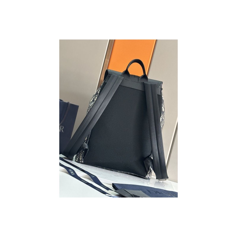 Dior Saddle Oblique Bag