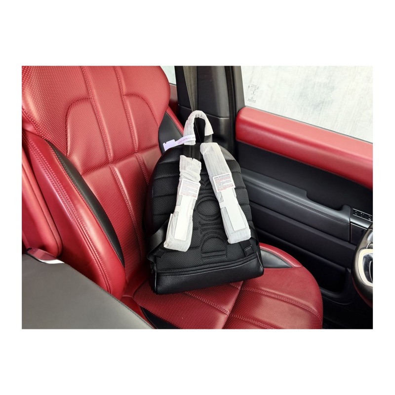 Dior Backpack