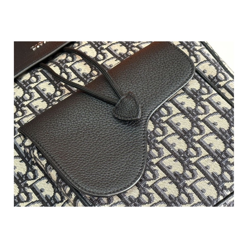 Dior Saddle Oblique Bag