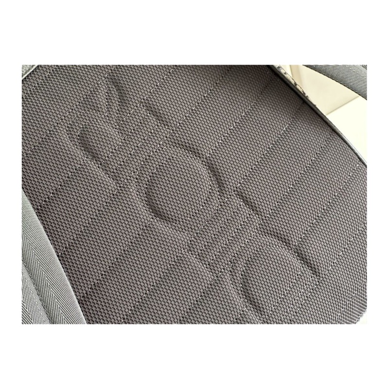 Dior Saddle Oblique Bag