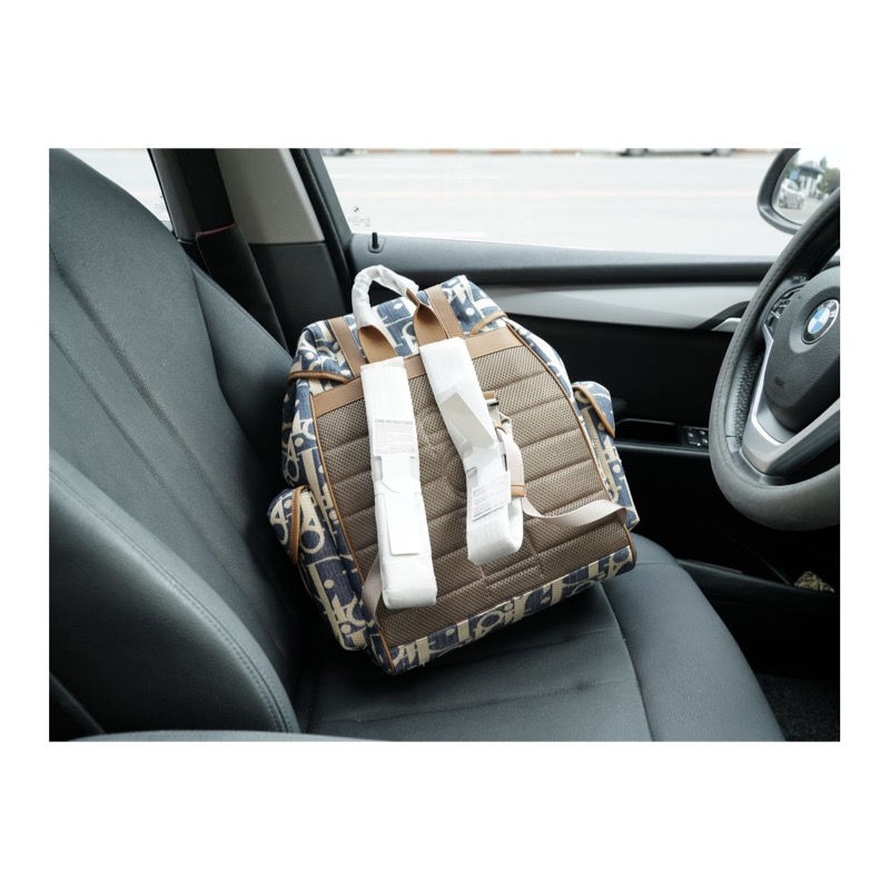 Dior Oblique Backpack