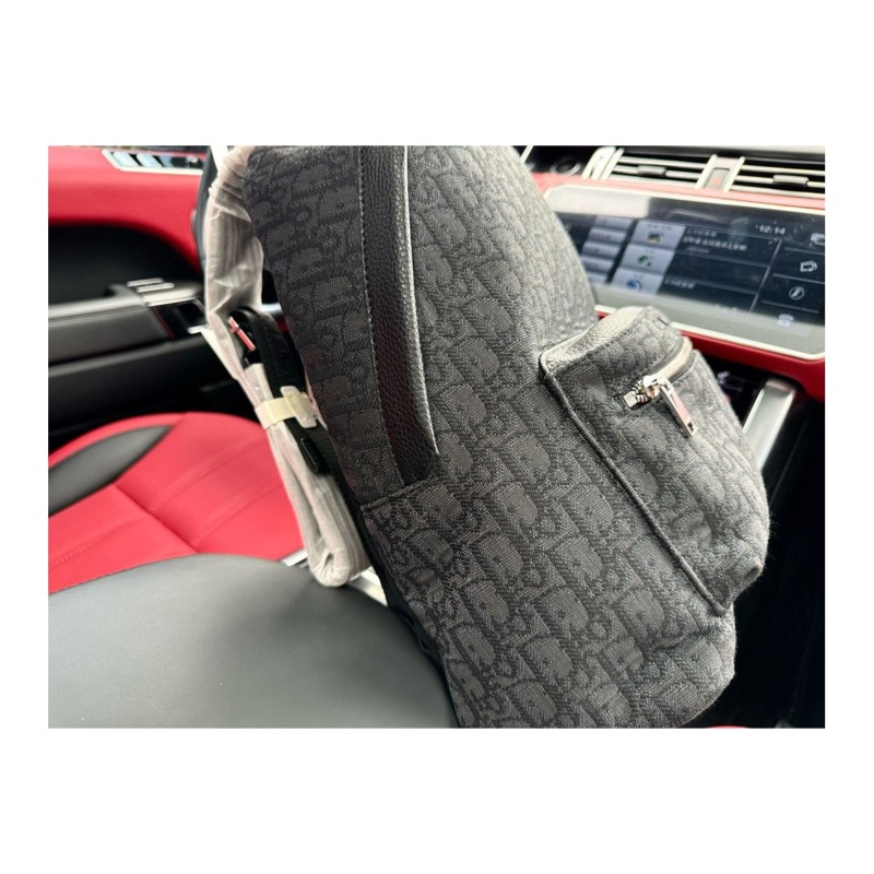 Dior Backpack