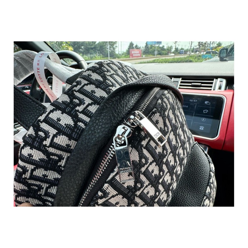Dior Backpack