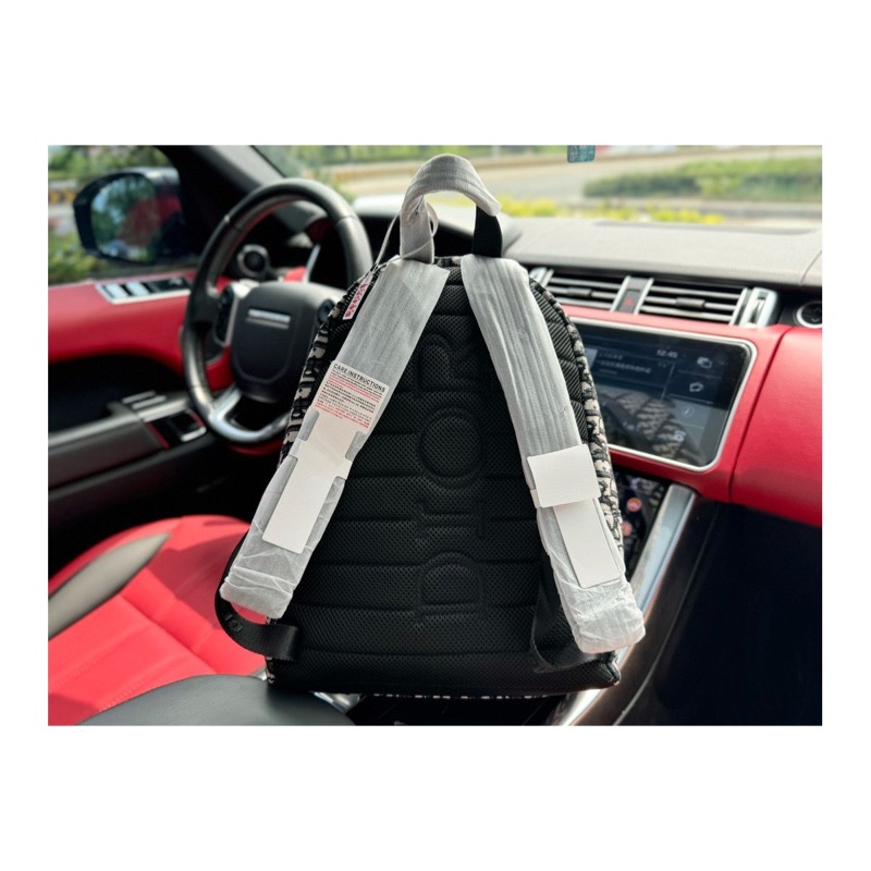 Dior Backpack
