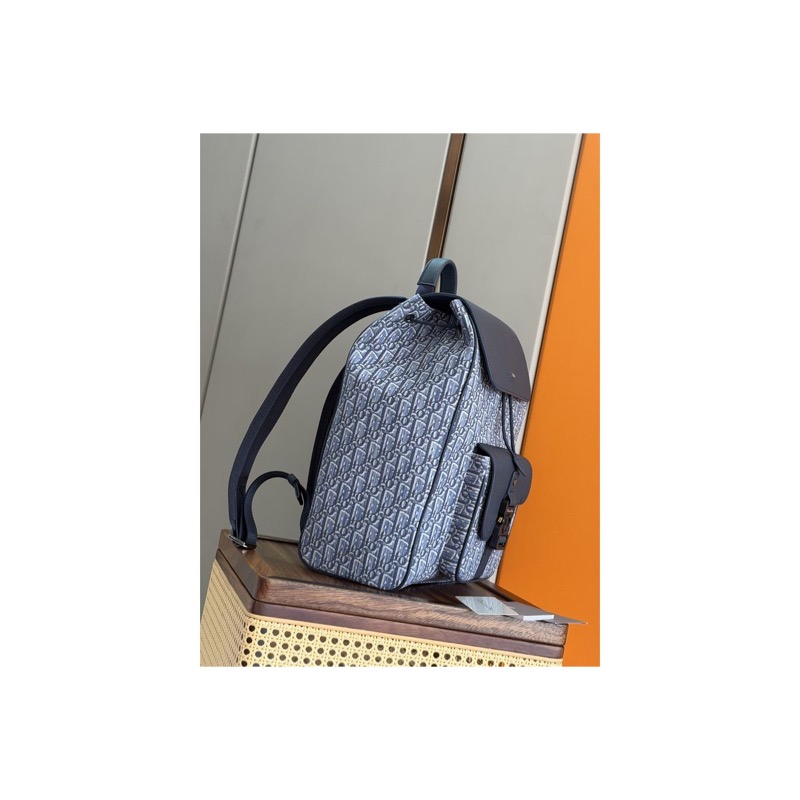 Dior Saddle Oblique Bag