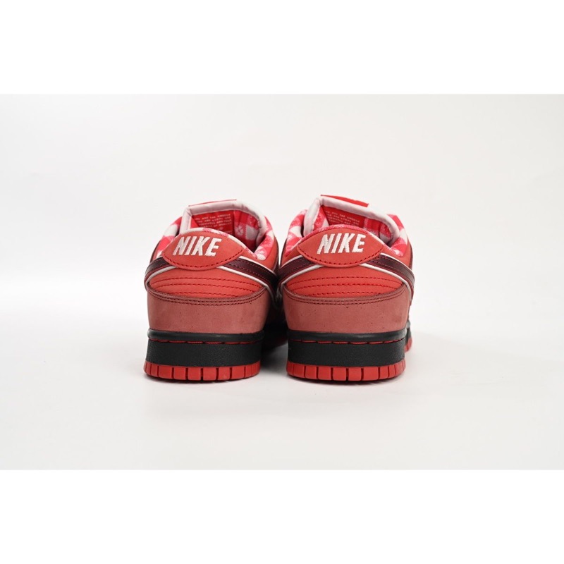 Nike Dunk Concepts Red Lobster 313170-661