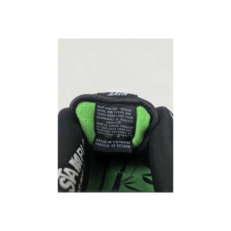 Nike Dunk Pro OG QS BV1310-013