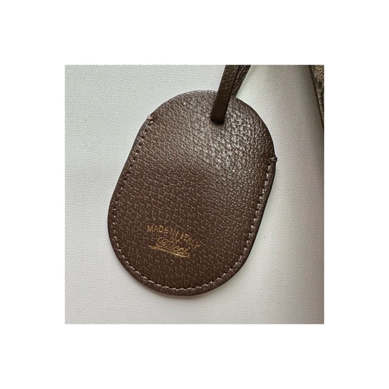 Gucci Ophidia Bag