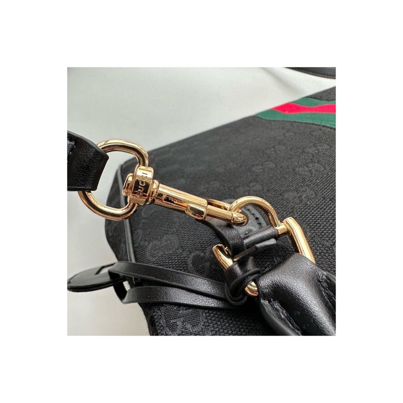 Gucci Ophidia Bag
