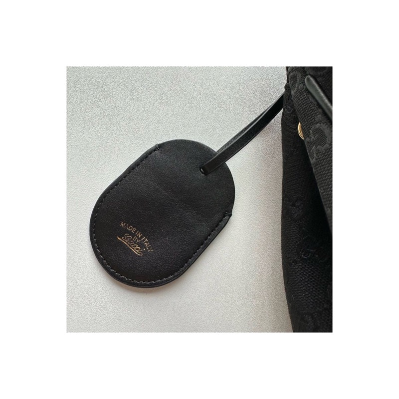 Gucci Ophidia Bag