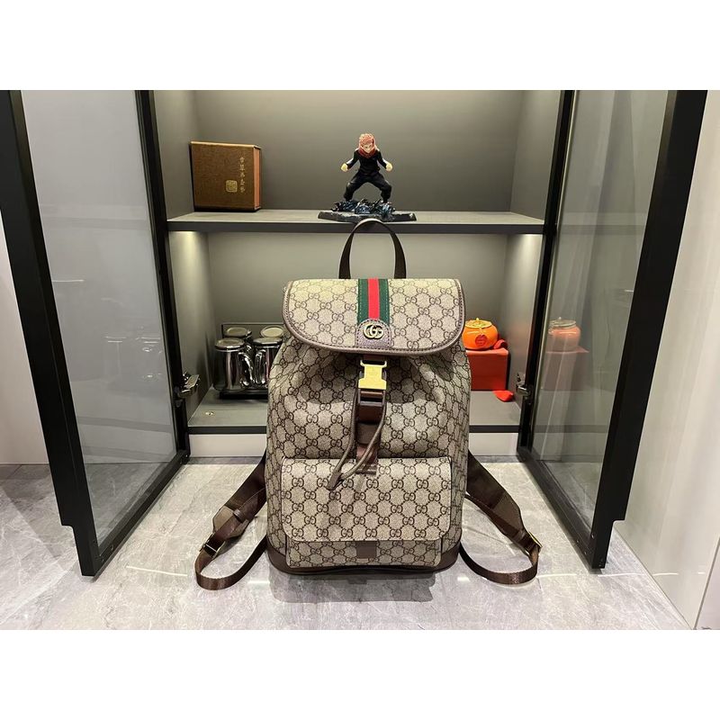 Gucci Ophidia Bag