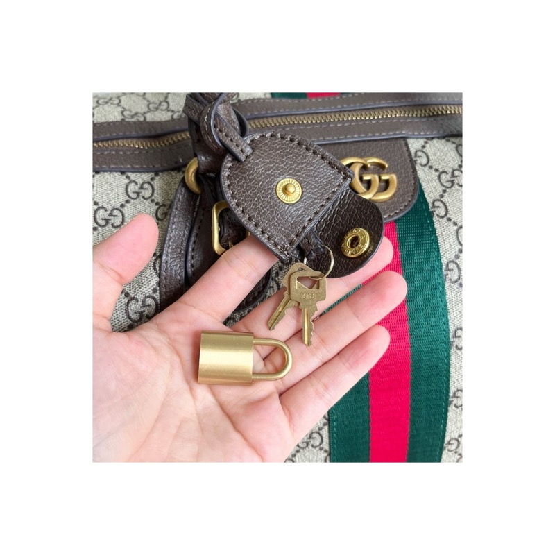 Gucci Ophidia Monogram Bag