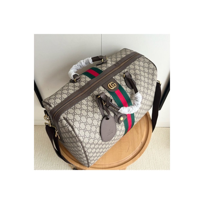 Gucci Ophidia Monogram Bag