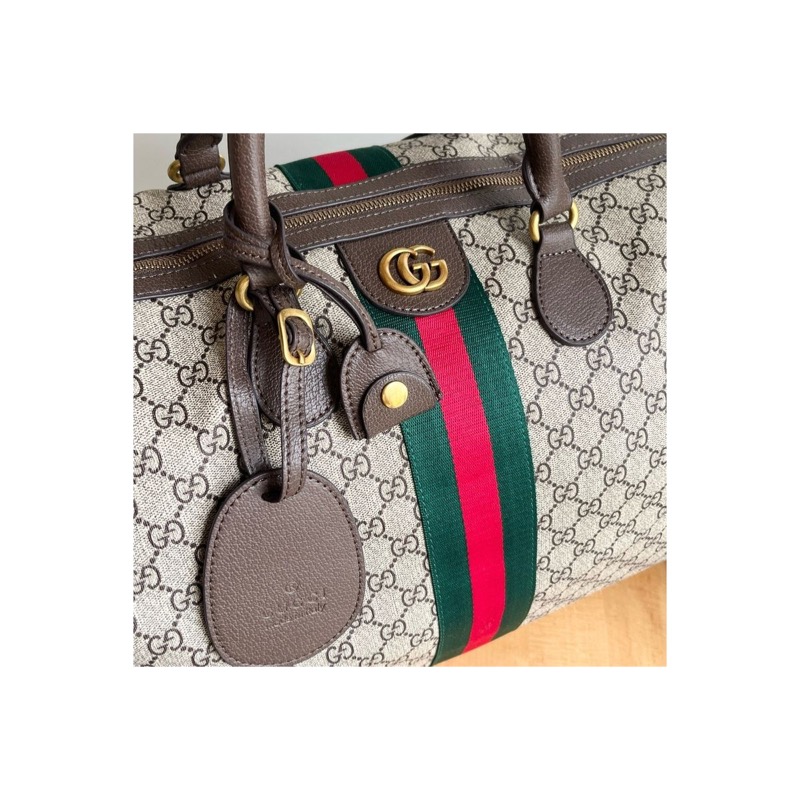 Gucci Ophidia Monogram Bag