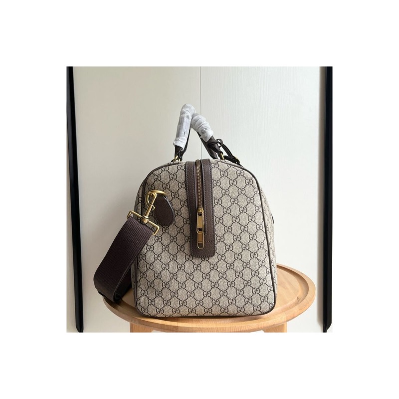 Gucci Ophidia Monogram Bag