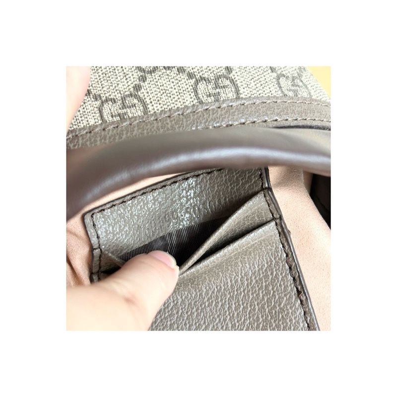 Gucci Ophidia Bag