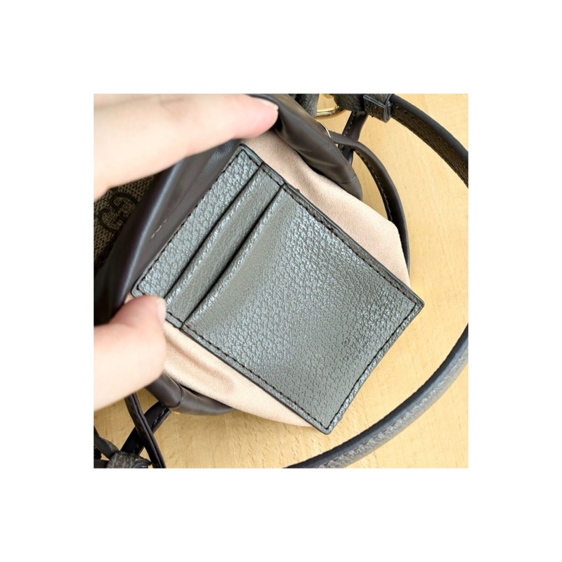 Gucci Ophidia Bag