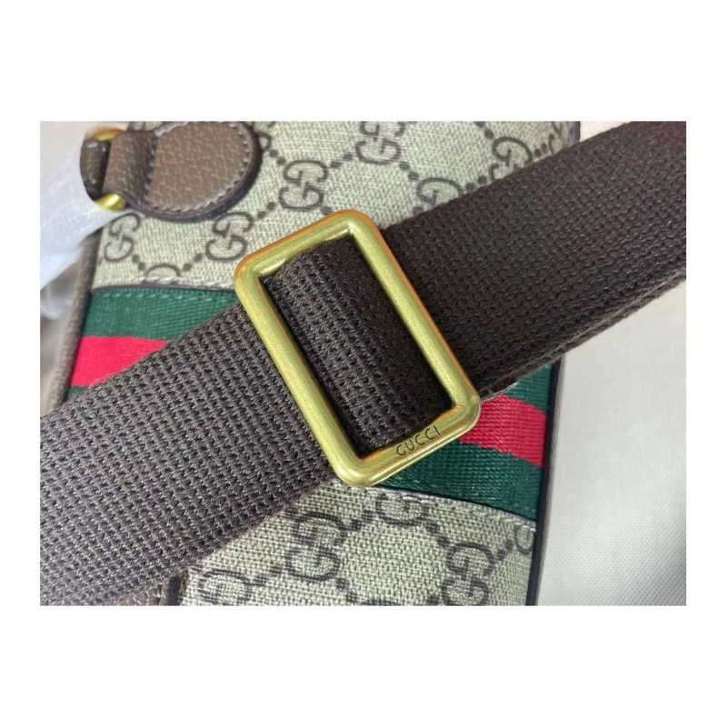 Gucci Ophidia Monogram Bag