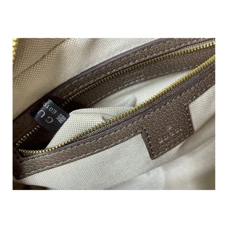 Gucci Ophidia Bag