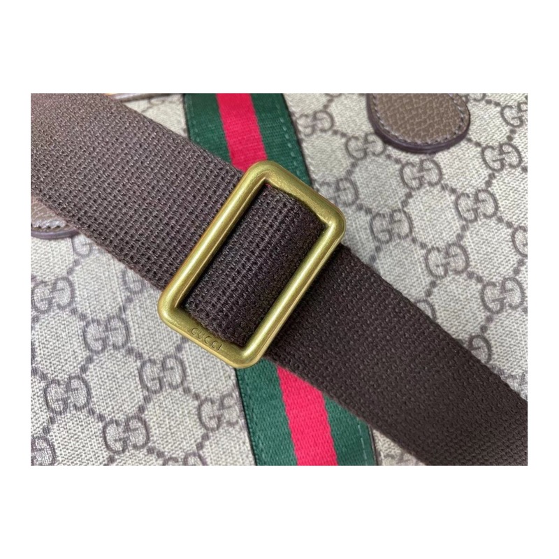 Gucci Ophidia Bag