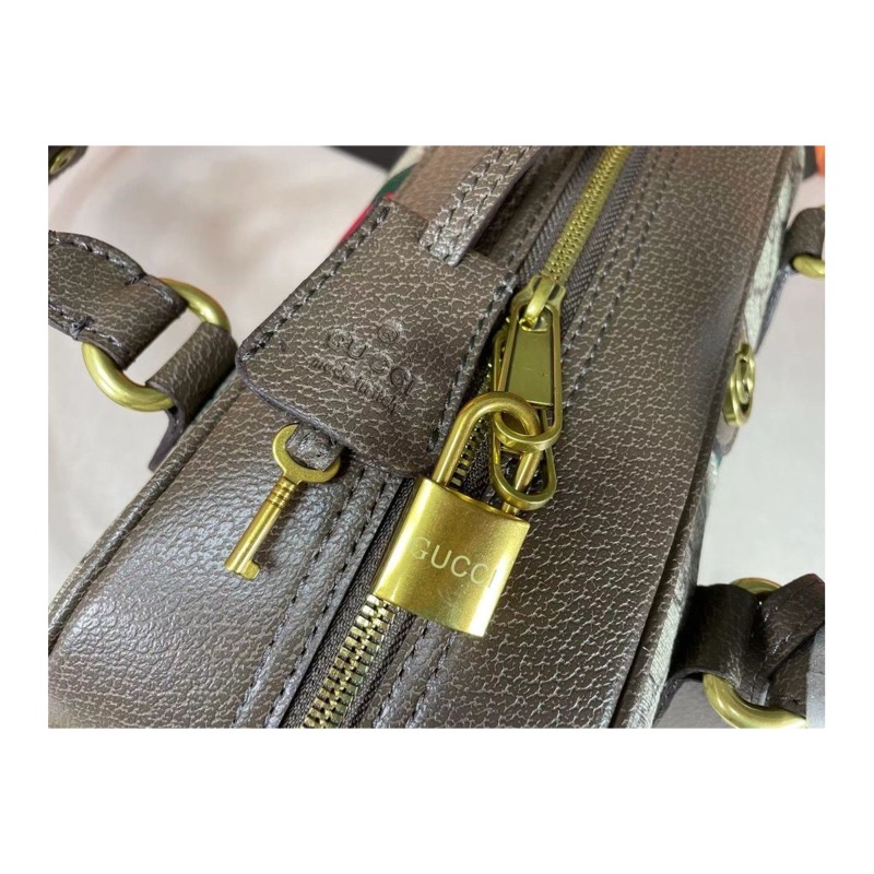 Gucci Ophidia Bag