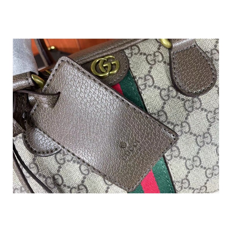Gucci Ophidia Bag