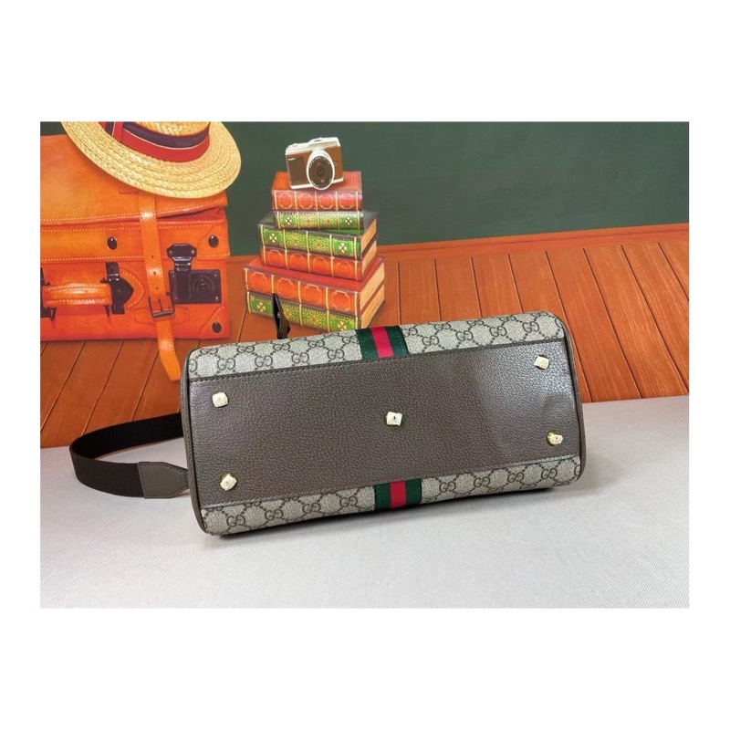 Gucci Ophidia Bag